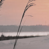 Seashore Sunset by Mercana Studio a Framed Photo Art Print Matted under Glass from Mercana - Luna Furniture