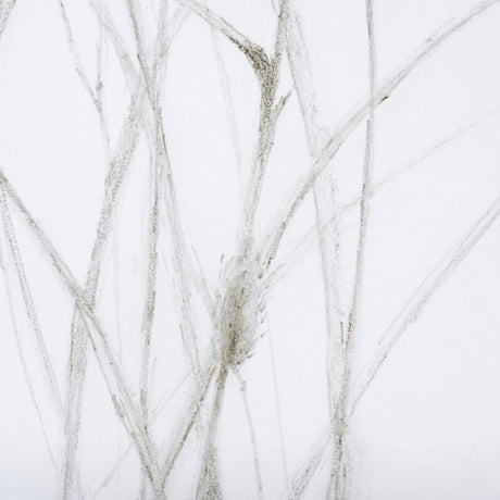 Growing Along The River I by Mercana Studio a Framed Art Print Matted under Glass from Mercana - Luna Furniture