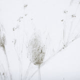 Growing Along The River I by Mercana Studio a Framed Art Print Matted under Glass from Mercana - Luna Furniture