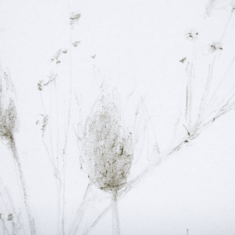 Growing Along The River I by Mercana Studio a Framed Art Print Matted under Glass from Mercana - Luna Furniture
