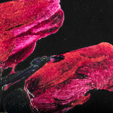 Midnight Flower I by Mercana Studio a Framed Art Print Matted under Glass from Mercana - Luna Furniture