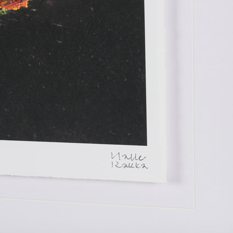 Midnight Flower I by Mercana Studio a Framed Art Print Matted under Glass from Mercana - Luna Furniture