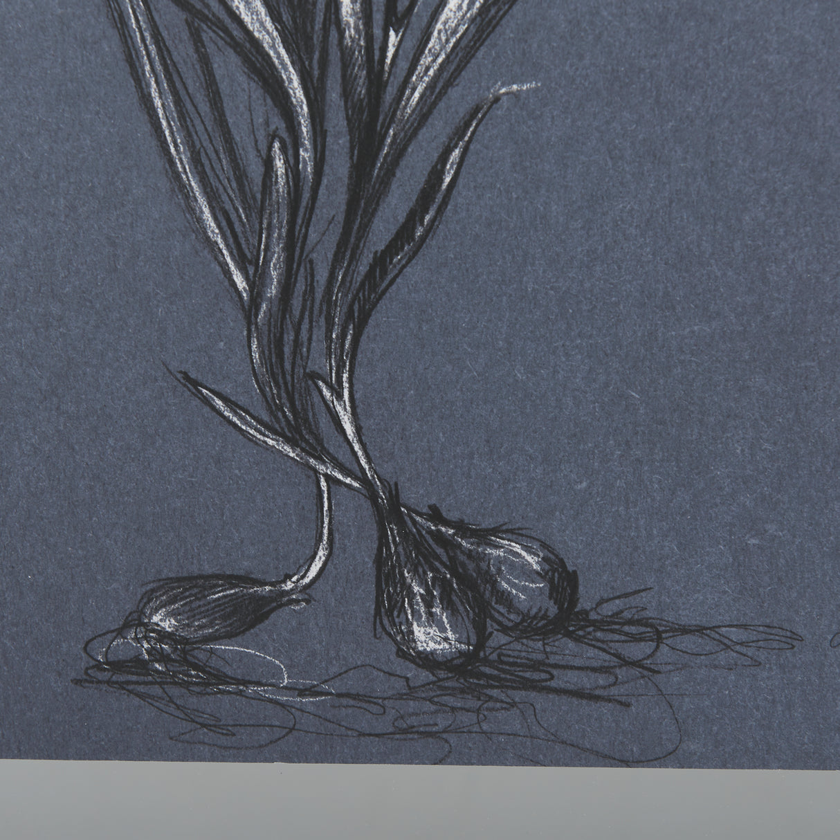 Botanical sketches III (Blue) by Mercana Studio Hand Embellished Framed Art Print Matted under Glass from Mercana - Luna Furniture