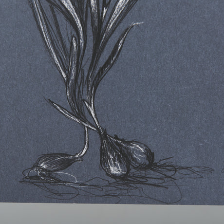 Botanical sketches III (Blue) by Mercana Studio Hand Embellished Framed Art Print Matted under Glass from Mercana - Luna Furniture