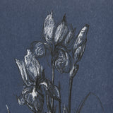Botanical sketches IV (Blue) by Mercana Studio Hand Embellished Framed Art Print Matted under Glass from Mercana - Luna Furniture