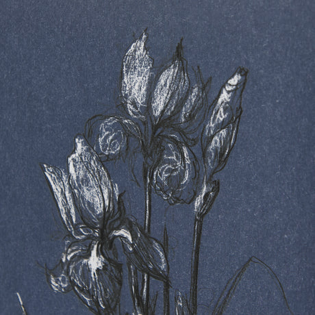Botanical sketches IV (Blue) by Mercana Studio Hand Embellished Framed Art Print Matted under Glass from Mercana - Luna Furniture