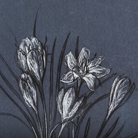 Botanical sketches V (Blue) by Mercana Studio Hand Embellished Framed Art Print Matted under Glass from Mercana - Luna Furniture
