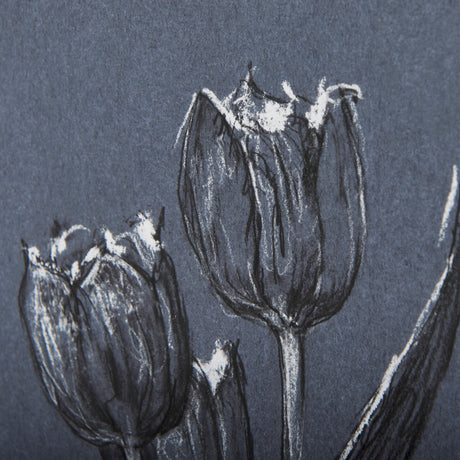Botanical sketches I (Blue) by Mercana Studio Hand Embellished Framed Art Print Matted under Glass from Mercana - Luna Furniture