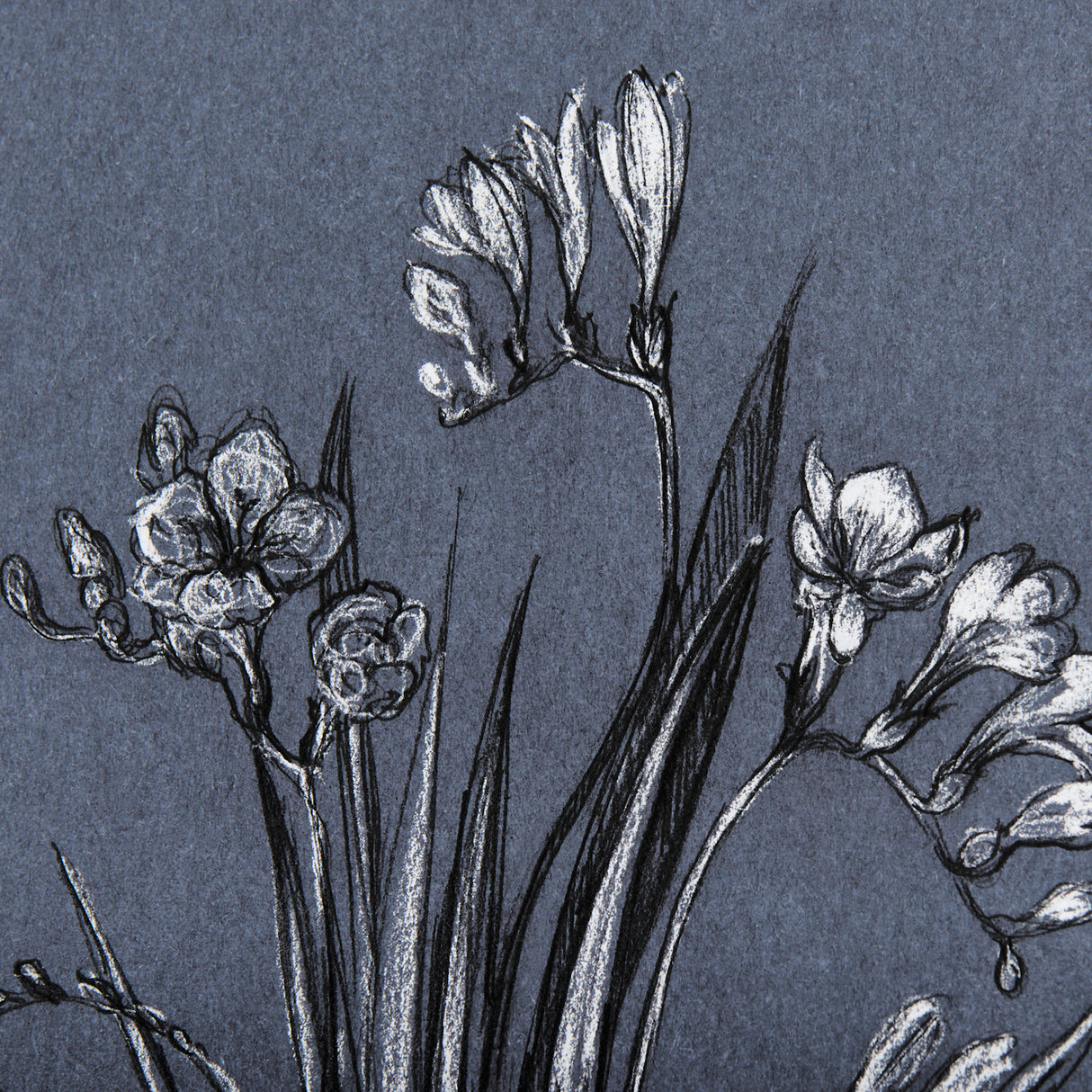 Botanical sketches III (Blue) by Mercana Studio Hand Embellished Framed Art Print Matted under Glass from Mercana - Luna Furniture