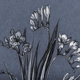 Botanical sketches III (Blue) by Mercana Studio Hand Embellished Framed Art Print Matted under Glass from Mercana - Luna Furniture