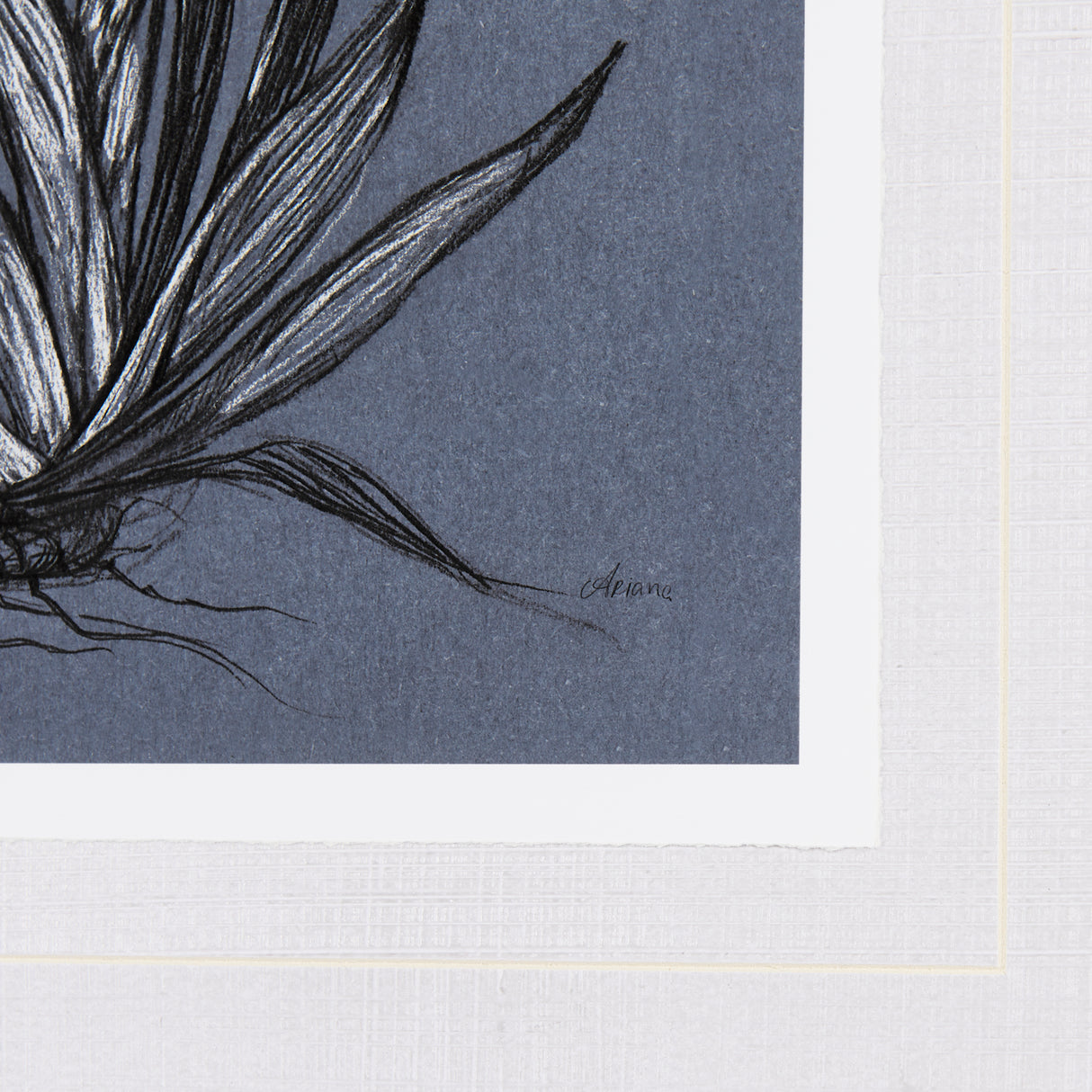 Botanical sketches IV (Blue) by Mercana Studio Hand Embellished Framed Art Print Matted under Glass from Mercana - Luna Furniture