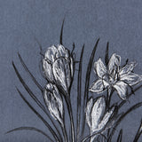 Botanical sketches V (Blue) by Mercana Studio Hand Embellished Framed Art Print Matted under Glass from Mercana - Luna Furniture