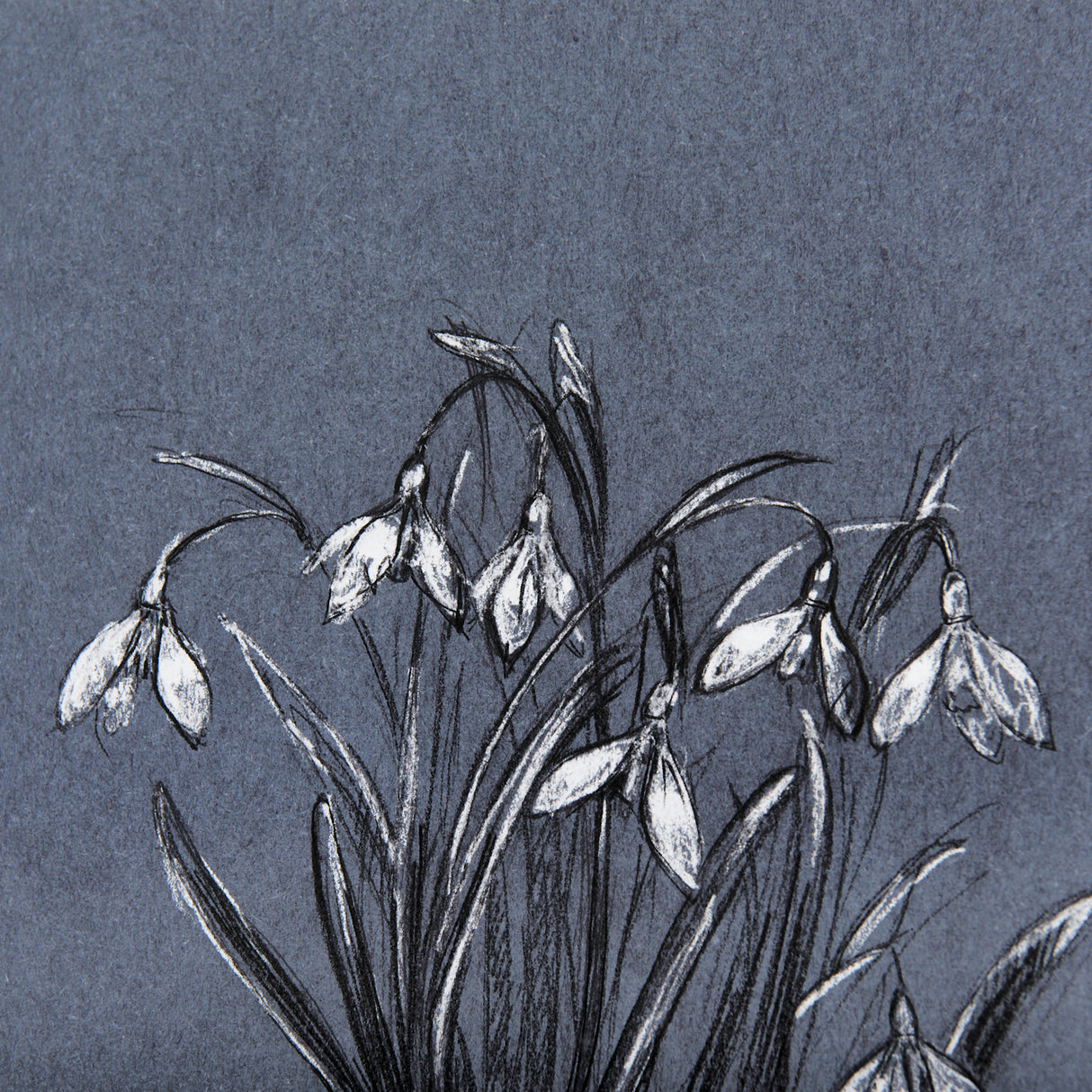 Botanical sketchesVI (Blue) by Mercana Studio Hand Embellished Framed Art Print Matted under Glass from Mercana - Luna Furniture