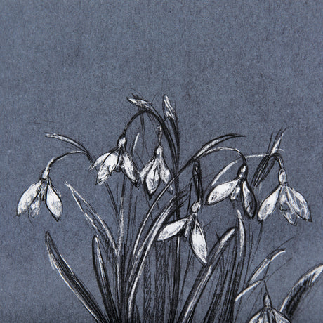 Botanical sketchesVI (Blue) by Mercana Studio Hand Embellished Framed Art Print Matted under Glass from Mercana - Luna Furniture