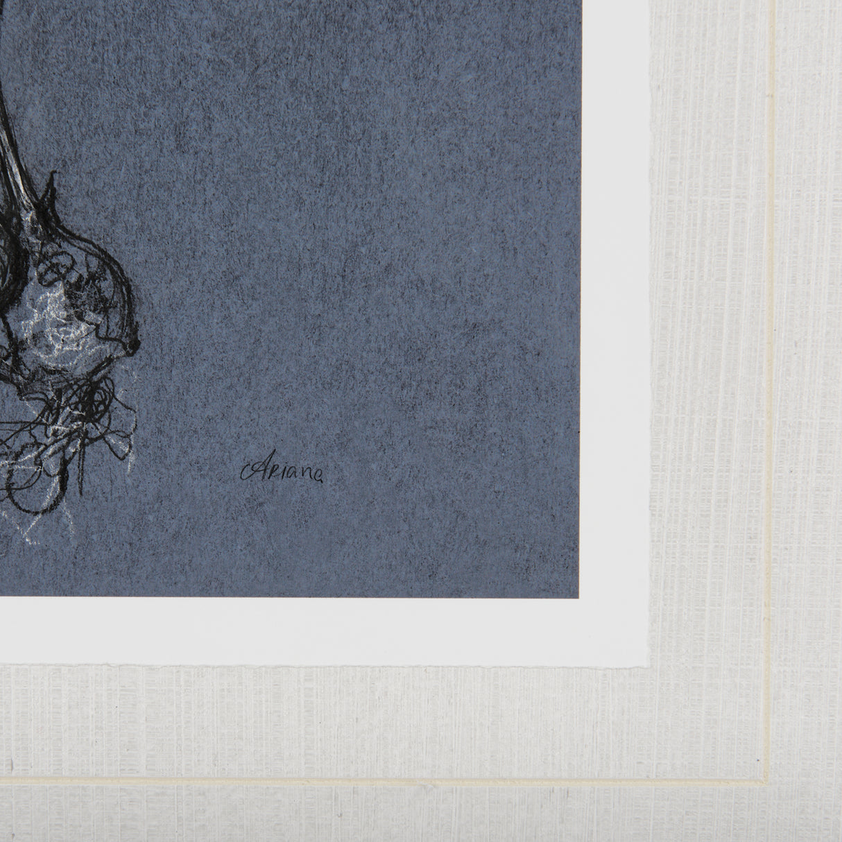 Botanical sketches I (Blue) by Mercana Studio Hand Embellished Framed Art Print Matted under Glass from Mercana - Luna Furniture