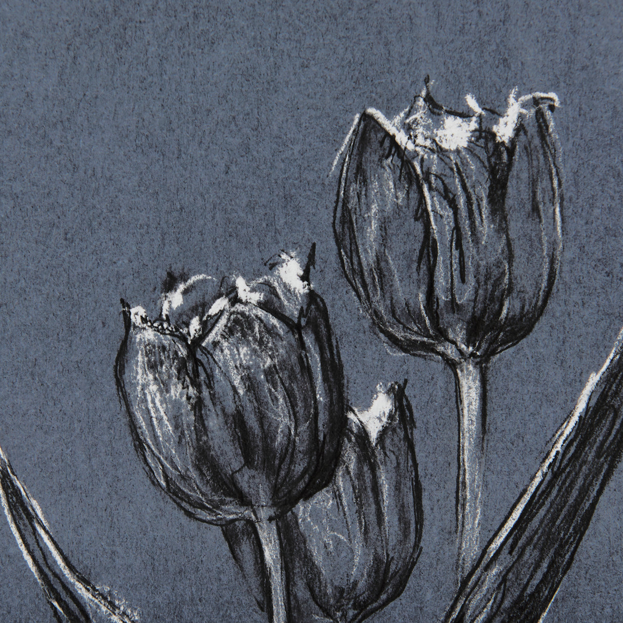 Botanical sketches I (Blue) by Mercana Studio Hand Embellished Framed Art Print Matted under Glass from Mercana - Luna Furniture
