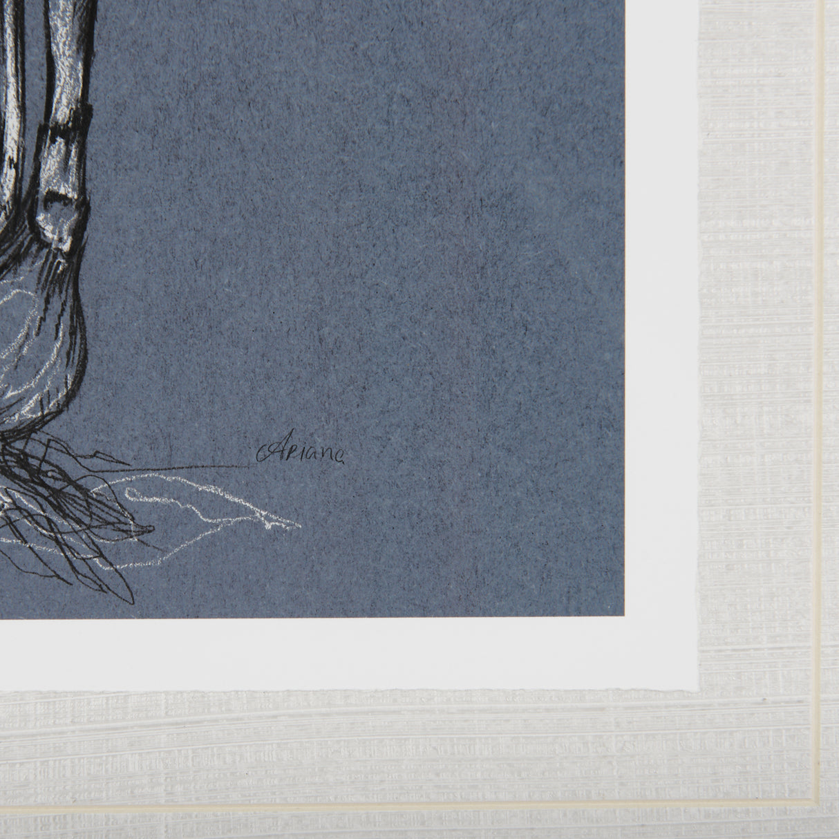 Botanical sketches I (Blue) by Mercana Studio Hand Embellished Framed Art Print Matted under Glass from Mercana - Luna Furniture