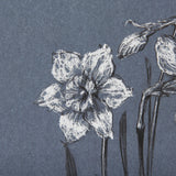 Botanical sketches I (Blue) by Mercana Studio Hand Embellished Framed Art Print Matted under Glass from Mercana - Luna Furniture