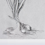 Botanical sketches III (Grey) by Mercana Studio Hand Embellished Framed Art Print Matted under Glass from Mercana - Luna Furniture
