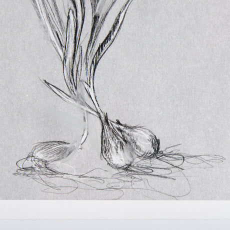 Botanical sketches III (Grey) by Mercana Studio Hand Embellished Framed Art Print Matted under Glass from Mercana - Luna Furniture