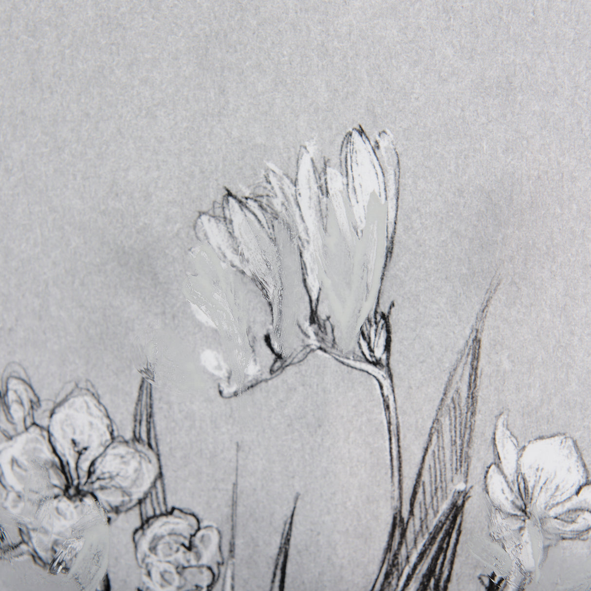 Botanical sketches III (Grey) by Mercana Studio Hand Embellished Framed Art Print Matted under Glass from Mercana - Luna Furniture