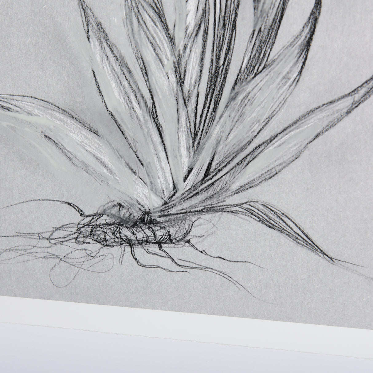 Botanical sketches IV (Grey) by Mercana Studio Hand Embellished Framed Art Print Matted under Glass from Mercana - Luna Furniture