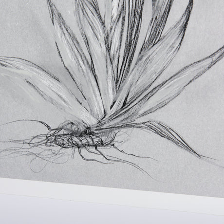 Botanical sketches IV (Grey) by Mercana Studio Hand Embellished Framed Art Print Matted under Glass from Mercana - Luna Furniture