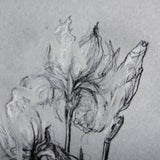 Botanical sketches IV (Grey) by Mercana Studio Hand Embellished Framed Art Print Matted under Glass from Mercana - Luna Furniture
