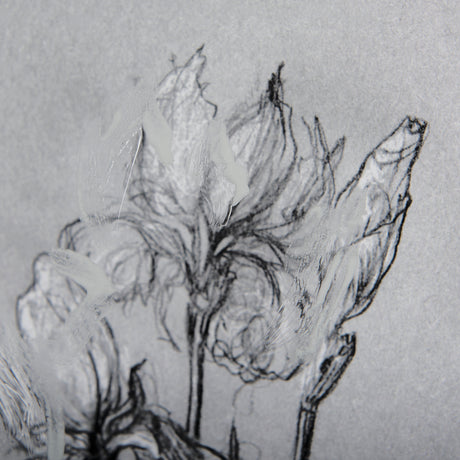 Botanical sketches IV (Grey) by Mercana Studio Hand Embellished Framed Art Print Matted under Glass from Mercana - Luna Furniture