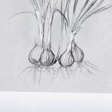 Botanical sketches V (Grey) by Mercana Studio Hand Embellished Framed Art Print Matted under Glass from Mercana - Luna Furniture