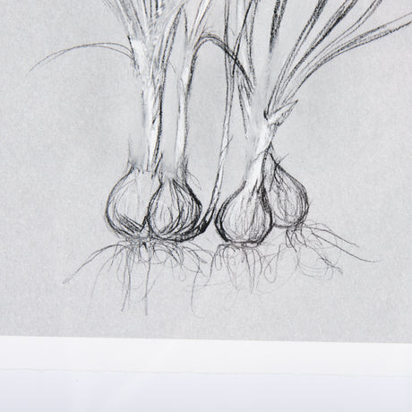 Botanical sketches V (Grey) by Mercana Studio Hand Embellished Framed Art Print Matted under Glass from Mercana - Luna Furniture