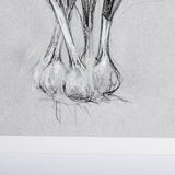 Botanical sketches VI (Grey) by Mercana Studio Hand Embellished Framed Art Print Matted under Glass from Mercana - Luna Furniture