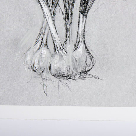 Botanical sketches VI (Grey) by Mercana Studio Hand Embellished Framed Art Print Matted under Glass from Mercana - Luna Furniture