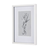 Botanical sketches I (Grey) by Mercana Studio Hand Embellished Framed Art Print Matted under Glass from Mercana - Luna Furniture