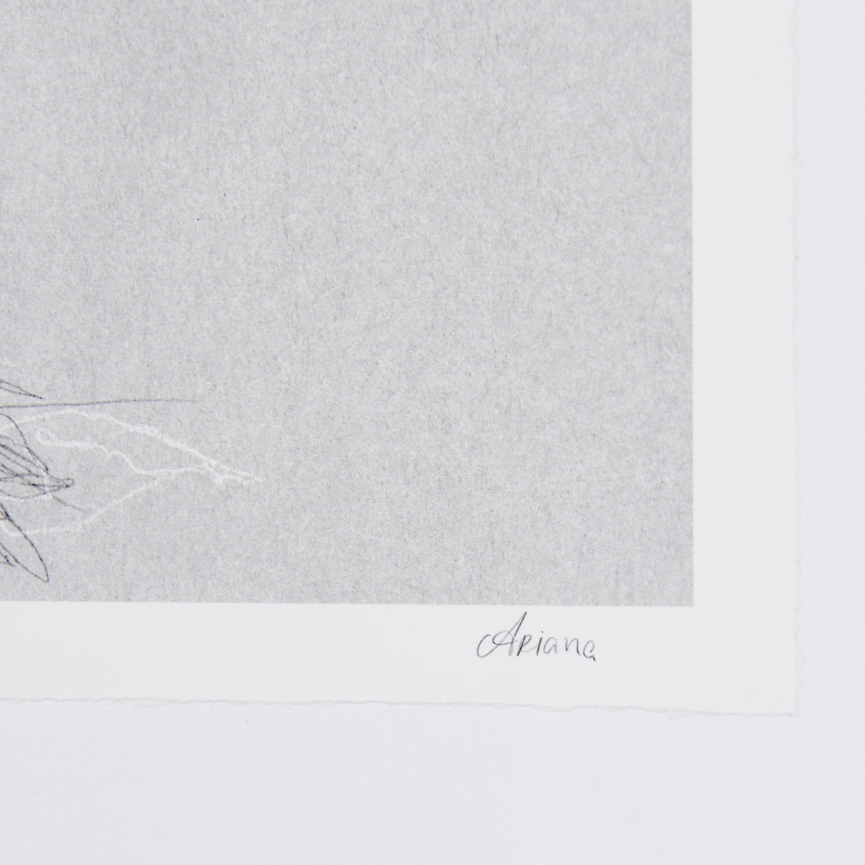 Botanical sketches II (Grey) by Mercana Studio Hand Embellished Framed Art Print Matted under Glass from Mercana - Luna Furniture
