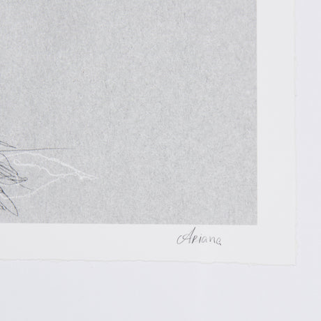 Botanical sketches II (Grey) by Mercana Studio Hand Embellished Framed Art Print Matted under Glass from Mercana - Luna Furniture