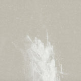 Growing Along The River III by Mercana Studio Framed Matted under Glass from Mercana - Luna Furniture