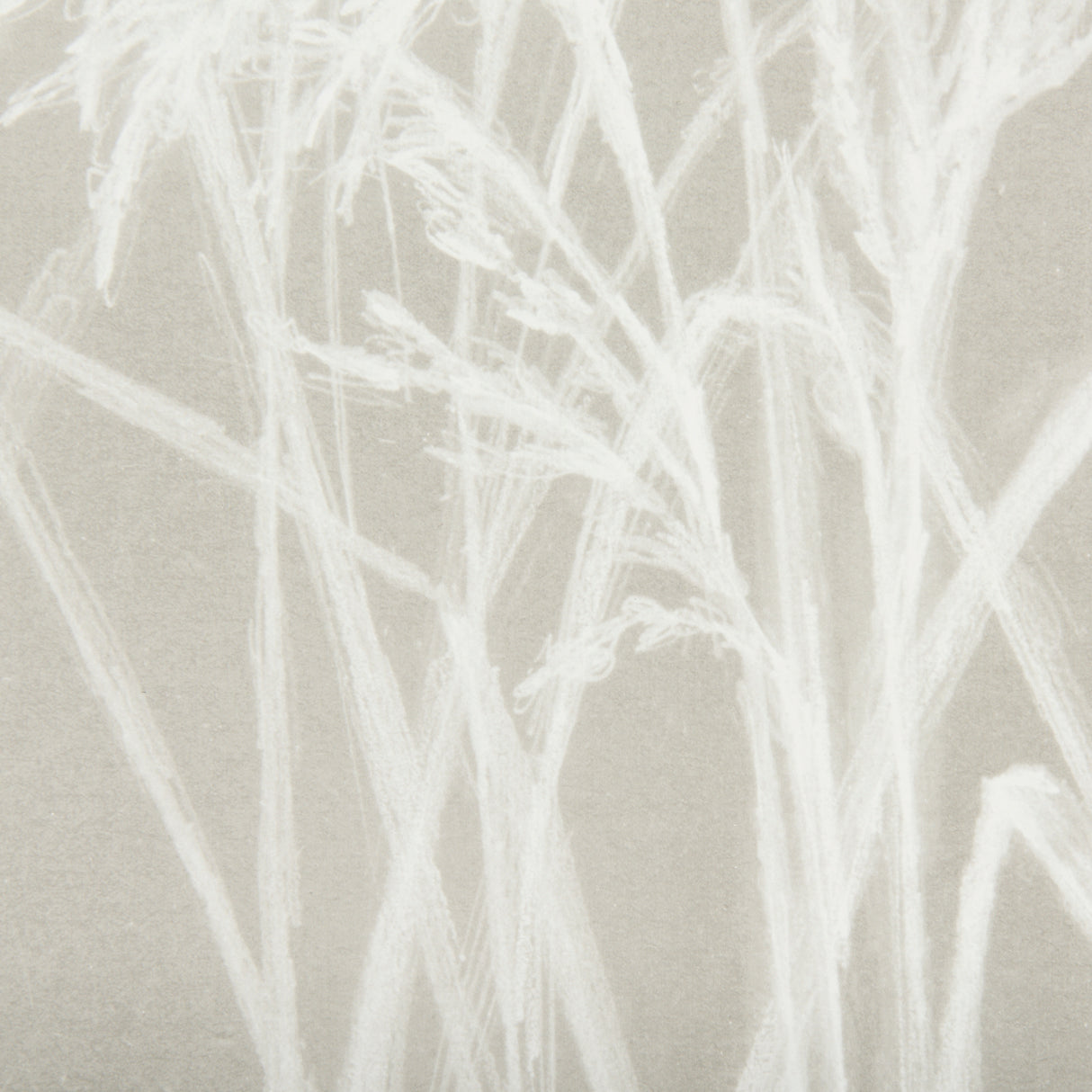 Growing Along The River IV by Mercana Studio Framed Matted under Glass from Mercana - Luna Furniture