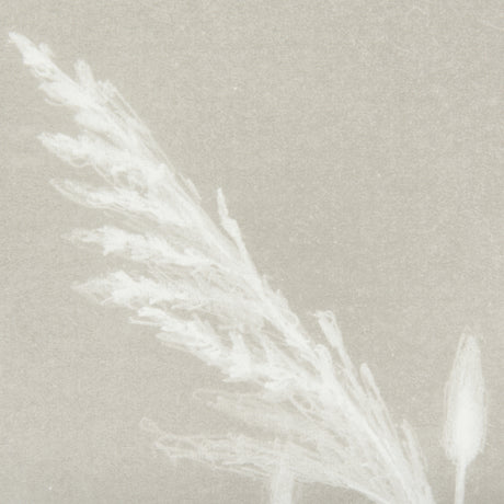 Growing Along The River IV by Mercana Studio Framed Matted under Glass from Mercana - Luna Furniture