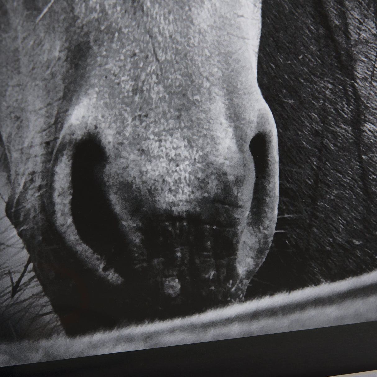 Watched Presence by Mercana Studio a Hand Embellished Textured Framed Photo Art Print Matted under G from Mercana - Luna Furniture