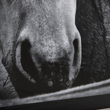 Watched Presence by Mercana Studio a Hand Embellished Textured Framed Photo Art Print Matted under G from Mercana - Luna Furniture