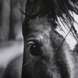 Watched Presence by Mercana Studio a Hand Embellished Textured Framed Photo Art Print Matted under G from Mercana - Luna Furniture