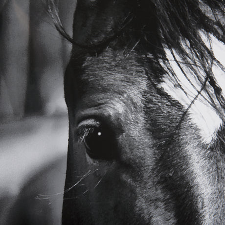 Watched Presence by Mercana Studio a Hand Embellished Textured Framed Photo Art Print Matted under G from Mercana - Luna Furniture