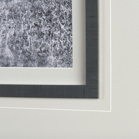 Babies on Board by Mercana Studio a Framed Photo Art Print Matted under Glass from Mercana - Luna Furniture