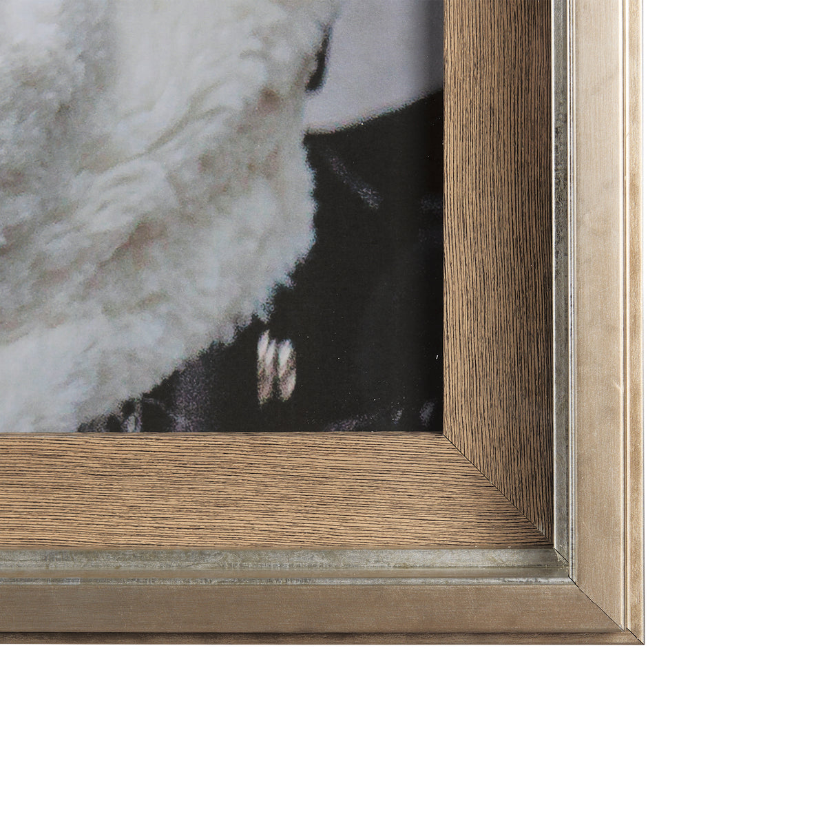 Clever Canines by Mercana Studio a Hand Embellished Textured Framed Photo Art Print Matted under Gla from Mercana - Luna Furniture