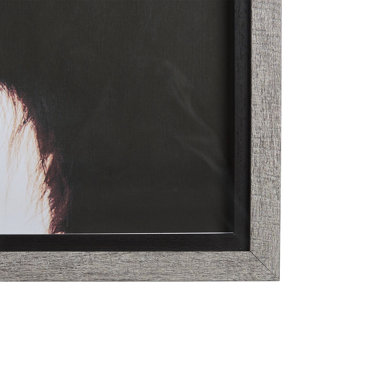 Stark Still-Gaze by Mercana Studio a Hand Embellished Textured Framed Photo Art Print Matted under G from Mercana - Luna Furniture