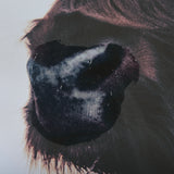 Stark Still-Gaze by Mercana Studio a Hand Embellished Textured Framed Photo Art Print Matted under G from Mercana - Luna Furniture