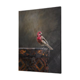 Graceful Poise I (House Finch)(42 x 56) from Mercana - Luna Furniture