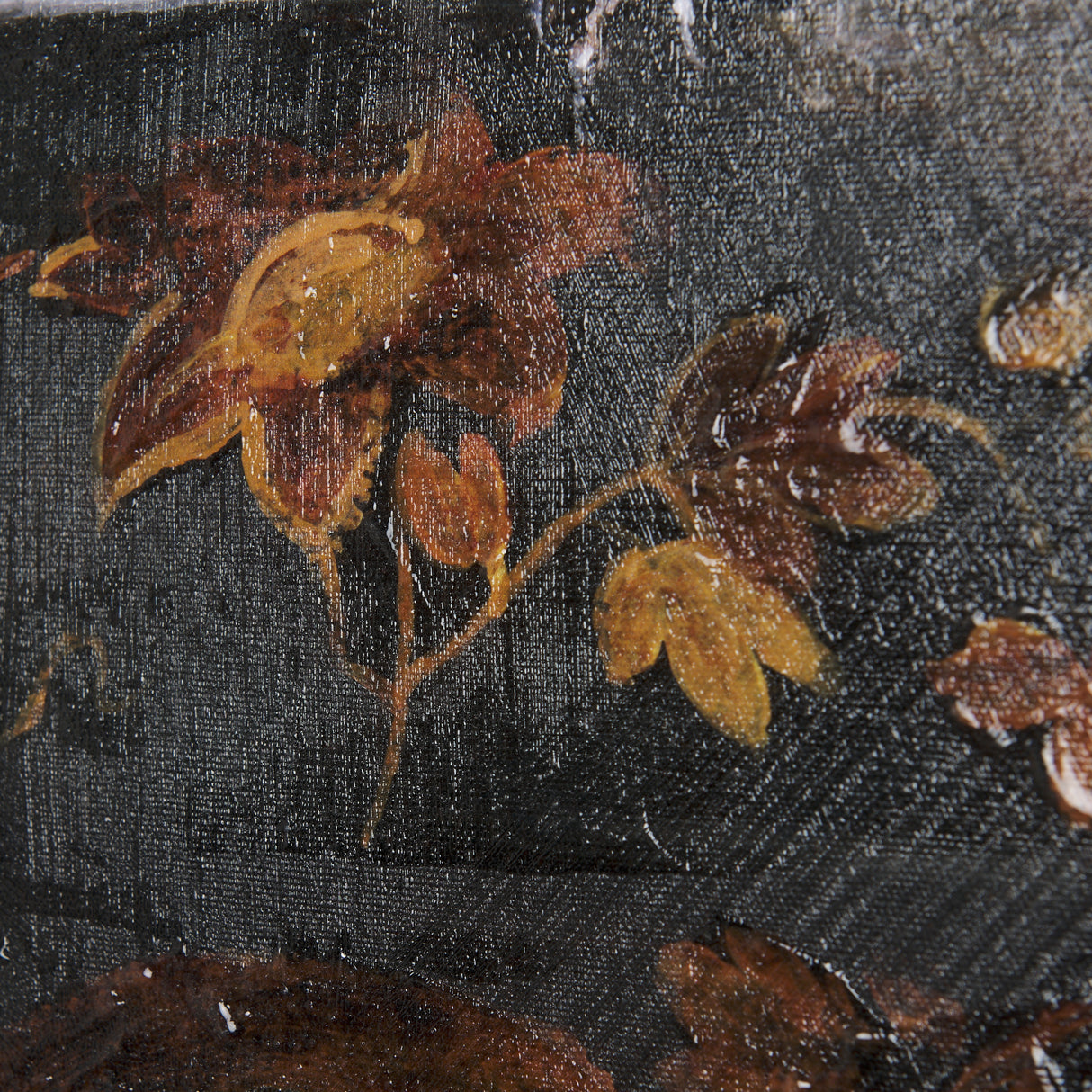 Graceful Poise I (House Finch)(30 x 40) from Mercana - Luna Furniture