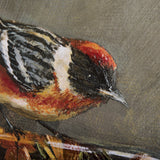 Graceful Poise III (Bay-Breasted Warbler) from Mercana - Luna Furniture